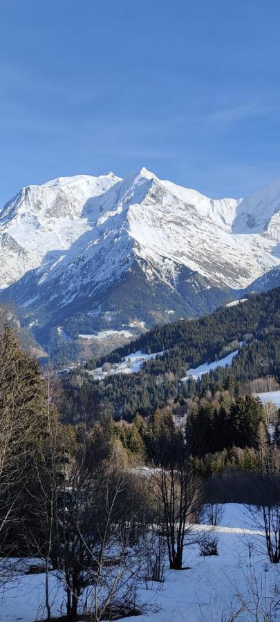Appartement Ideal Ete Ou Hiver, Pour Skieurs Et Promeneurs, 4 Personnes Saint-Gervais-les-Bains Exterior foto